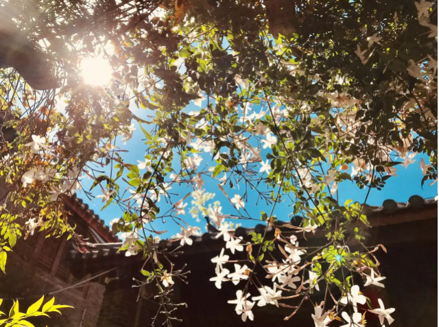 4月23日随笔记录